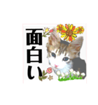 気ままな猫達とお花（個別スタンプ：31）