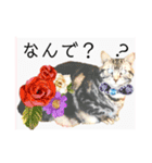 気ままな猫達とお花（個別スタンプ：36）