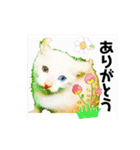 気ままな猫達とお花（個別スタンプ：39）