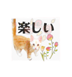 気ままな猫達とお花（個別スタンプ：40）