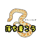 シシバナヘビのスタンプ（個別スタンプ：2）