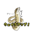 シシバナヘビのスタンプ（個別スタンプ：6）