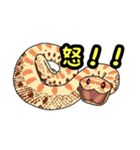 シシバナヘビのスタンプ（個別スタンプ：7）