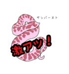シシバナヘビのスタンプ（個別スタンプ：8）