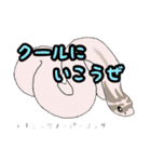 シシバナヘビのスタンプ（個別スタンプ：11）