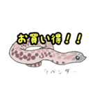 シシバナヘビのスタンプ（個別スタンプ：12）