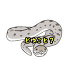 シシバナヘビのスタンプ（個別スタンプ：14）