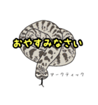 シシバナヘビのスタンプ（個別スタンプ：15）