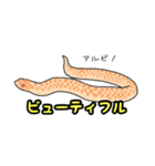 シシバナヘビのスタンプ（個別スタンプ：18）