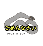 シシバナヘビのスタンプ（個別スタンプ：20）