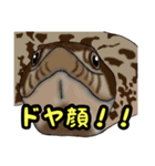 シシバナヘビのスタンプ（個別スタンプ：23）