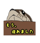 シシバナヘビのスタンプ（個別スタンプ：24）