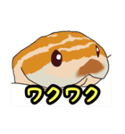 シシバナヘビのスタンプ（個別スタンプ：26）