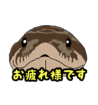 シシバナヘビのスタンプ（個別スタンプ：29）