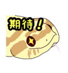 シシバナヘビのスタンプ（個別スタンプ：30）