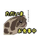 シシバナヘビのスタンプ（個別スタンプ：31）