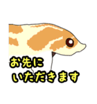 シシバナヘビのスタンプ（個別スタンプ：33）