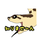 シシバナヘビのスタンプ（個別スタンプ：34）