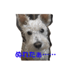 あんずさん、おまめさん、その2。（個別スタンプ：4）
