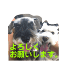 あんずさん、おまめさん、その2。（個別スタンプ：6）