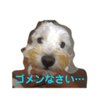 あんずさん、おまめさん、その2。（個別スタンプ：7）
