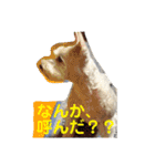 あんずさん、おまめさん、その2。（個別スタンプ：9）