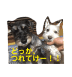 あんずさん、おまめさん、その2。（個別スタンプ：10）
