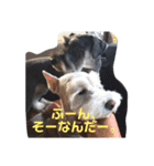 あんずさん、おまめさん、その2。（個別スタンプ：11）