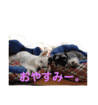 あんずさん、おまめさん、その2。（個別スタンプ：14）