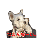 あんずさん、おまめさん、その2。（個別スタンプ：15）