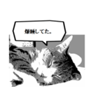 漫画風猫スタンプ（個別スタンプ：8）