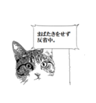 漫画風猫スタンプ（個別スタンプ：35）