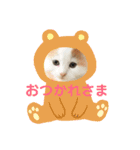 ラガさん（個別スタンプ：1）