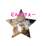ラガさん（個別スタンプ：10）