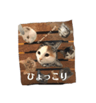 ラガさん（個別スタンプ：18）