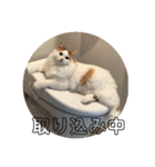 ラガさん（個別スタンプ：20）