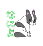 フレンチブルドッグのピノちゃん（個別スタンプ：6）