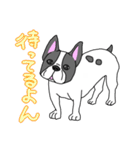 フレンチブルドッグのピノちゃん（個別スタンプ：12）
