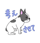 フレンチブルドッグのピノちゃん（個別スタンプ：14）
