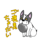 フレンチブルドッグのピノちゃん（個別スタンプ：21）