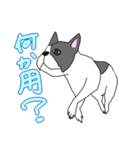 フレンチブルドッグのピノちゃん（個別スタンプ：23）