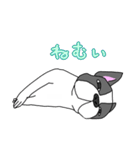 フレンチブルドッグのピノちゃん（個別スタンプ：26）