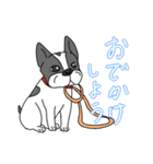 フレンチブルドッグのピノちゃん（個別スタンプ：28）