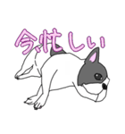 フレンチブルドッグのピノちゃん（個別スタンプ：32）