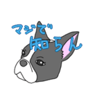 フレンチブルドッグのピノちゃん（個別スタンプ：35）