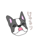 フレンチブルドッグのピノちゃん（個別スタンプ：36）