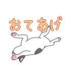 フレンチブルドッグのピノちゃん（個別スタンプ：39）