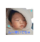 紫陽3（個別スタンプ：5）