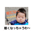 紫陽3（個別スタンプ：11）