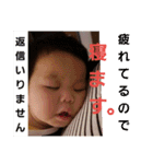 紫陽3（個別スタンプ：12）